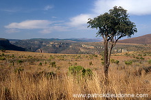 Blyde river canyon, South Africa - Afrique du Sud - 21110