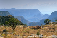 Blyde river canyon, South Africa - Afrique du Sud - 21113