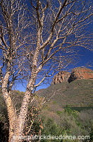 Great Escarpment, South Africa - Afrique du Sud - 21123 Great Escarpment, South Africa - Afrique du Sud - 21123