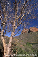 Great Escarpment, South Africa - Afrique du Sud - 21123