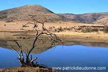Mankwe Dam, Pilanesberg Park, South Africa - Afrique du Sud - 21128
