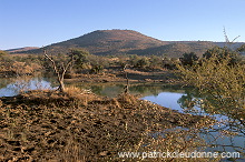 Mankwe Dam, Pilanesberg Park, South Africa - Afrique du Sud - 21130