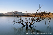 Mankwe Dam, Pilanesberg Park, South Africa - Afrique du Sud - 21132