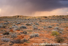 Kalahari-Gemsbok Park, South Africa - Afrique du Sud - 21146