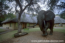 Kruger National Park, South Africa - Afrique du Sud - 21159 Kruger National Park, South Africa - Afrique du Sud - 21159