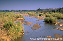 Olifants river, Kruger NP, South Africa - Afrique du sud - 21167