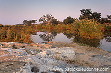 Olifants river, Kruger NP, South Africa - Afrique du sud - 21168