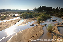 Olifants river, Kruger NP, South Africa - Afrique du sud - 21170