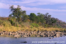 Kruger National Park, South Africa - Afrique du Sud - 21163