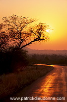 Sunrise, Kruger NP, South Africa - Afrique du Sud - 21196