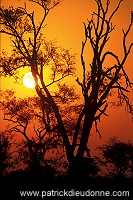 Sunrise, Kruger NP, South Africa - Afrique du Sud - 21197