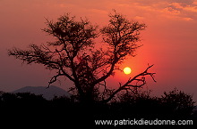 Sunrise, Kruger NP, South Africa - Afrique du Sud - 21198