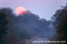 Sunrise, Kruger NP, South Africa - Afrique du Sud - 21200