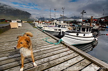 Leirvik harbour, Eysturoy, Faroe islands - Port de Leirvik, iles Feroe - FER147