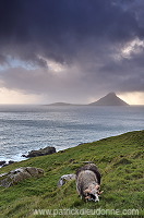 Koltur from Streymoy, Faroe islands - Ile de Koltur, iles Feroe - FER093