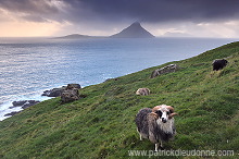 Koltur from Streymoy, Faroe islands - Ile de Koltur, iles Feroe - FER094
