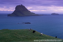 Tindholmur, Vagar, Faroe islands - Tindholmur, iles Feroe - FER641