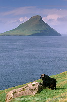 Koltur from Streymoy, Faroe islands - Koltur, iles Feroe - FER954