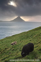 Koltur from Streymoy, Faroe islands - Ile de Koltur, iles Feroe - FER091