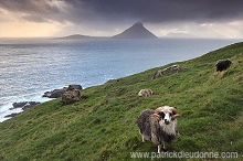 Koltur from Streymoy, Faroe islands - Ile de Koltur, iles Feroe - FER094 Koltur from Streymoy, Faroe islands - Ile de Koltur, iles Feroe - FER094