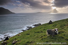 Koltur from Streymoy, Faroe islands - Ile de Koltur, iles Feroe - FER095 Koltur from Streymoy, Faroe islands - Ile de Koltur, iles Feroe - FER095
