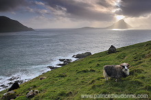 Koltur from Streymoy, Faroe islands - Ile de Koltur, iles Feroe - FER095