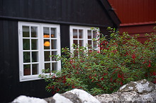 Tinganes, Torshavn, Faroe islands - Tinganes, Torshavn, Iles Feroe - FER578 Tinganes, Torshavn, Faroe islands - Tinganes, Torshavn, Iles Feroe - FER578