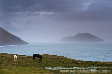 Nordradalur, Streymoy, Faroe islands - Nordradalur, iles Feroe - FER795