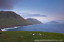 Torshavn, Streymoy, Faroe islands - Torshavn, Streymoy, iles Feroe - FER944