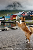 Leirvik harbour, Eysturoy, Faroe islands - Port de Leirvik, iles Feroe - FER142