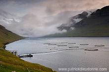 Salmon farming, Nordoyar, Faroe islands - Elevage du saumon, iles Feroe - FER274
