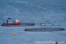 Salmon farming, Nordoyar, Faroe islands - Elevage du saumon, iles Feroe - FER275