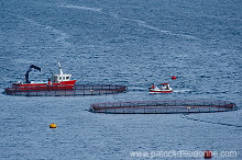 Salmon farming, Nordoyar, Faroe islands - Elevage du saumon, iles Feroe - FER275 Salmon farming, Nordoyar, Faroe islands - Elevage du saumon, iles Feroe - FER275