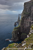 Oknadalsdrangur, Sandoy, Faroe islands - Oknadalsdrangur, iles Feroe - FER348 Oknadalsdrangur, Sandoy, Faroe islands - Oknadalsdrangur, iles Feroe - FER348