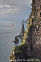 Oknadalsdrangur, Sandoy, Faroe islands - Oknadalsdrangur, iles Feroe - FER354
