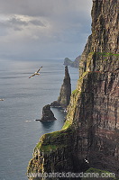 Oknadalsdrangur, Sandoy, Faroe islands - Oknadalsdrangur, iles Feroe - FER354 Oknadalsdrangur, Sandoy, Faroe islands - Oknadalsdrangur, iles Feroe - FER354