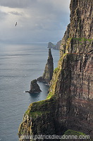 Oknadalsdrangur, Sandoy, Faroe islands - Oknadalsdrangur, iles Feroe - FER355 Oknadalsdrangur, Sandoy, Faroe islands - Oknadalsdrangur, iles Feroe - FER355