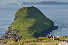Trollhovdi, Sandoy, Faroe islands - Trollhovdi, iles Feroe - FER400