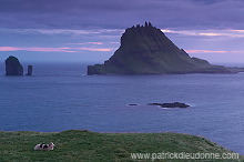 Tindholmur, Vagar, Faroe islands - Tindholmur, iles Feroe - FER639