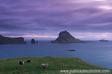 Tindholmur, Vagar, Faroe islands - Tindholmur, iles Feroe - FER640