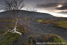 Iceland, lake Myvatn region - Islande, region du lac Myvatn - ICE030 Iceland, lake Myvatn region - Islande, region du lac Myvatn - ICE030