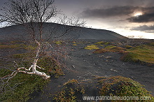 Iceland, lake Myvatn region - Islande, region du lac Myvatn - ICE030