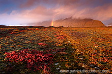 Iceland, Skaftafell NP - Islande, Skaftafell - ICE048