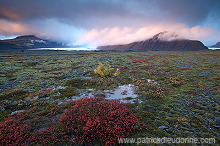 Iceland, Skaftafell NP - Islande, Skaftafell - ICE049