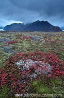 Iceland, Skaftafell NP - Islande, Skaftafell - ICE050