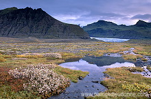 Iceland, Skaftafell NP - Islande, Skaftafell - ICE052