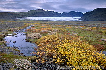 Iceland, Skaftafell NP - Islande, Skaftafell - ICE053