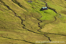 Sheep, Hvalba, Suduroy, Faroe islands - Moutons a Hvalba, Iles Feroe - FER423