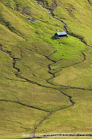 Sheep, Hvalba, Suduroy, Faroe islands - Moutons a Hvalba, Iles Feroe - FER424 Sheep, Hvalba, Suduroy, Faroe islands - Moutons a Hvalba, Iles Feroe - FER424