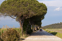 Parco della Maremma, Tuscany - Parc de Maremme, Toscane - it01089